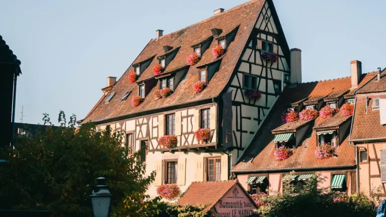 À Colmar, votre santé peut peser sur les priorités locales