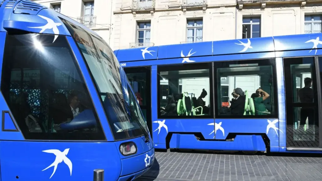 Deux tramways bleus modernes décorés de motifs d'oiseaux blancs circulent dans une rue urbaine.