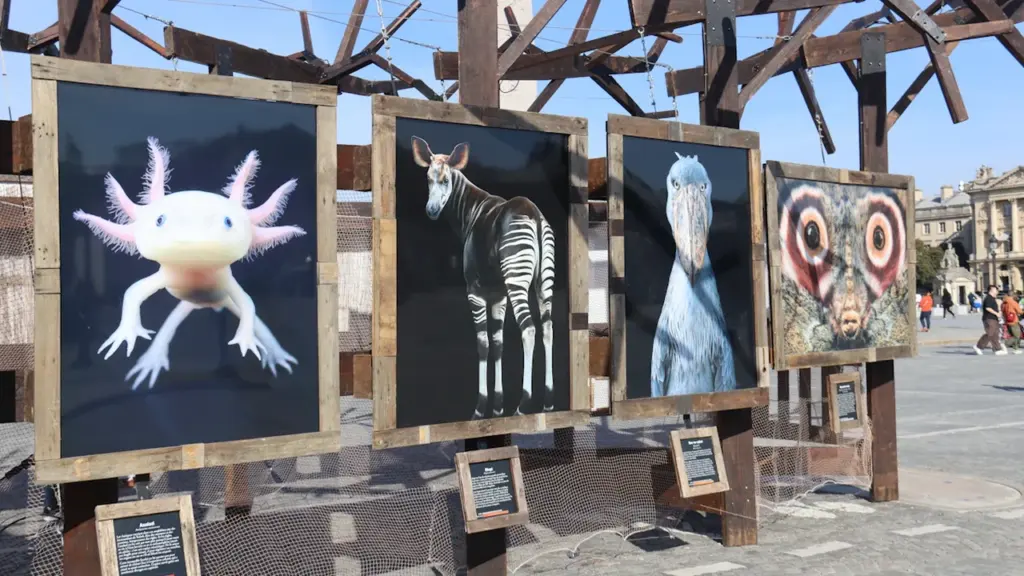 Aulnay-sous-Bois : une exposition pour protéger la biodiversité: ce qu’il faut retenir