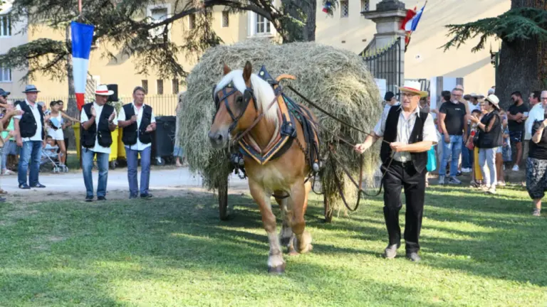 Avignon : trois jours de traditions à la Fête des Foins