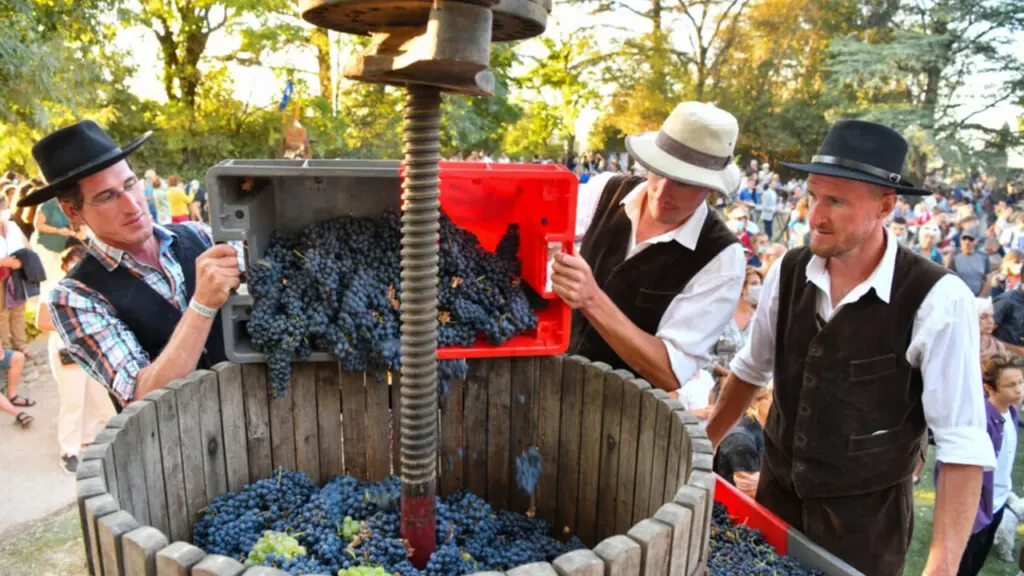 Trois hommes en costume traditionnel versent du raisin noir dans un pressoir en bois.