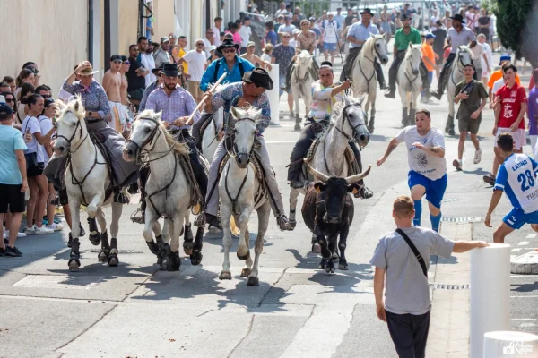 Fêtes votives : le programme du 12 au 18 août à Saint-Drézéry, Pignan et Le Crès