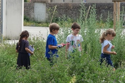 À Carcassonne, les écoles font peau neuve pour la rentrée