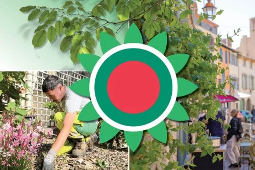 Carcassonne : 8 chantiers vont changer le quotidien