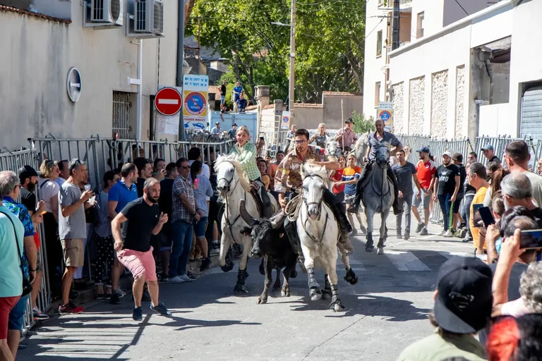 Feria des Vendanges à Nîmes : le programme du jeudi 17 septembre