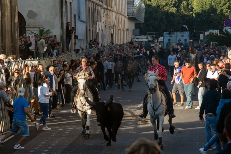 Feria des Vendanges à Nîmes : les femmes à l'honneur