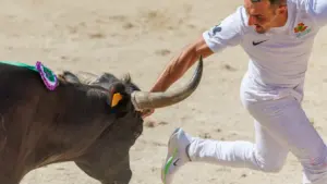 Un raseteur vêtu de blanc évite de justesse les cornes d'un taureau noir dans l'arène.