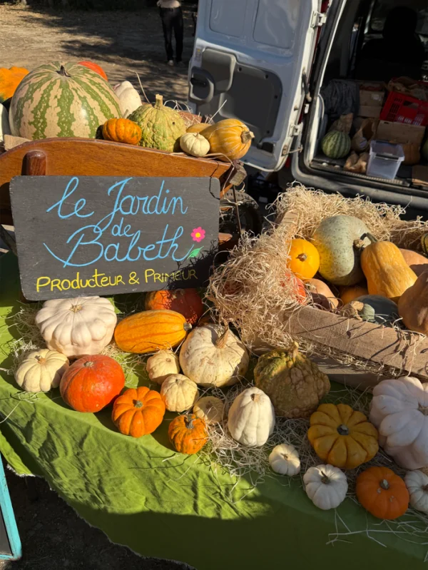 30 ans de la Fête de la Courge à Saint-Jean-de-Védas : le programme