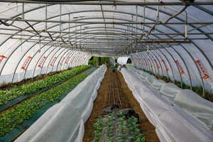 À Montaud, sept nouveaux agriculteurs vont s'installer au domaine de Viviers