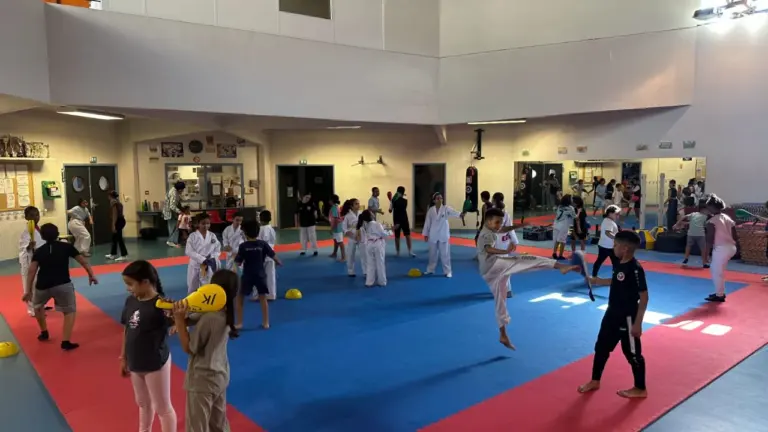 À Montpellier, ce club de taekwondo du Petit Bard aide aussi les familles