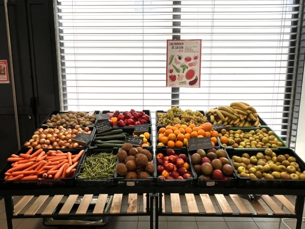À Montpellier, des jeunes gèrent leur épicerie solidaire pour 80 % d'entre eux sous le seuil de pauvreté