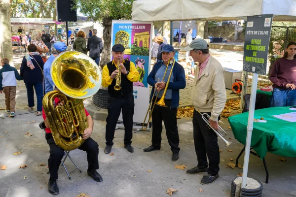 Fête de l'olive à Pignan : le programme gratuit du dimanche 4 octobre