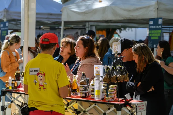 Fête de l'olive à Pignan : le programme gratuit du dimanche 4 octobre
