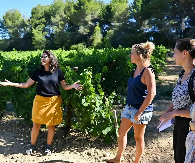 Montpellier : 8 sorties gratuites ou presque ce week-end du 16 au 18 octobre