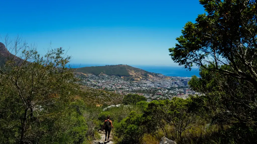 Perpignan : Urban Trail, Bruixes et Octobre Rose au programme