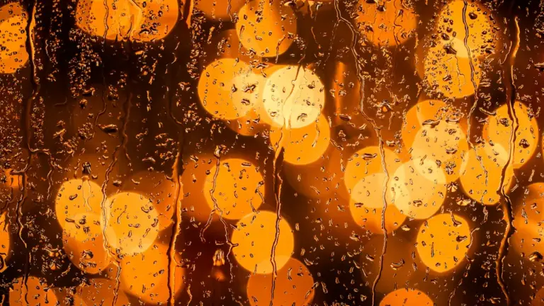 Perpignan : vigilance orange, marchés et cérémonie annulés